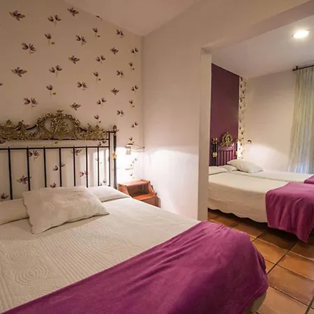 Hotel Nieves 3*