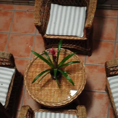 Hotel Nieves 3*